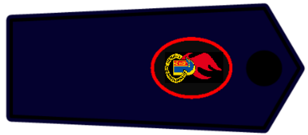 Gemeinde oder Stadt- Jugendfeuerwehrwart / -in und stellv. 1