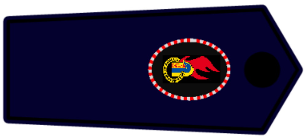Kreis Jugendfeuerwehrwart / -in und stellv. 1